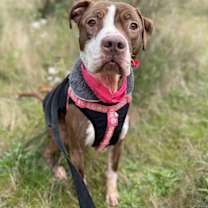 Thumbnail photo of Delilah #2