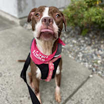 Thumbnail photo of Delilah #3