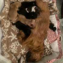 Thumbnail photo of Bonnie #1