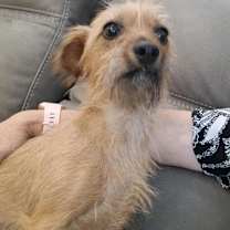 Thumbnail photo of Bonnie #2