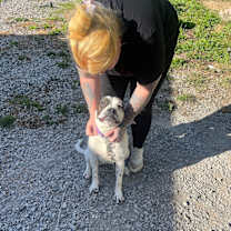 Thumbnail photo of Diamond #4