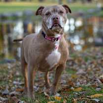 Thumbnail photo of Sally - 23226 #3