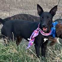 Thumbnail photo of Tanya #2