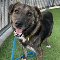 Thumbnail photo of Sasha #2