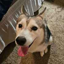 Thumbnail photo of Memphis #2