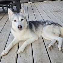 Thumbnail photo of Memphis #3