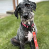 Thumbnail photo of Ava #1
