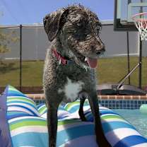 Thumbnail photo of Ava #2
