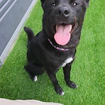 Thumbnail photo of Cami #4