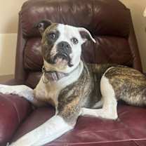 Thumbnail photo of Dalilah #2