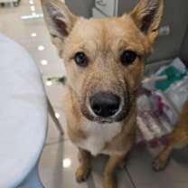 Thumbnail photo of RK #4