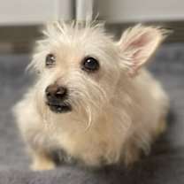 Thumbnail photo of Ophelia #4