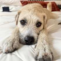 Thumbnail photo of Luka #3