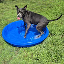Thumbnail photo of Ruby #3