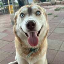 Thumbnail photo of Luna #3