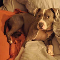 Thumbnail photo of Juliana #1