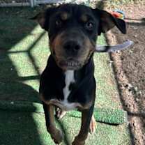 Thumbnail photo of Lyvia #4