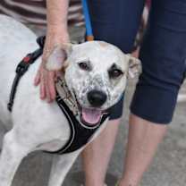 Thumbnail photo of Eddie #1