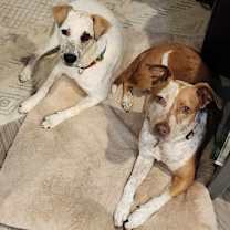 Thumbnail photo of Eddie #3