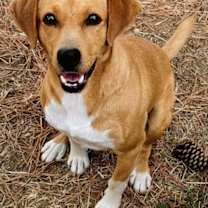 Thumbnail photo of Charlie #3