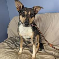 Thumbnail photo of Patsy #2