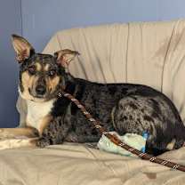 Thumbnail photo of Patsy #3