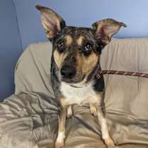 Thumbnail photo of Patsy #4