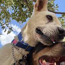 Thumbnail photo of Tonka #3