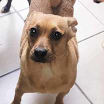 Thumbnail photo of Tinkerbell #2