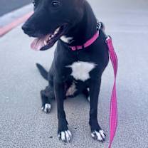 Thumbnail photo of Kaida #2