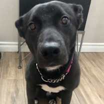 Thumbnail photo of Kaida #1