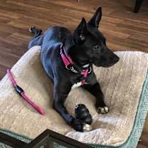 Thumbnail photo of Kaida #3