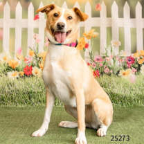 Thumbnail photo of Petra #1