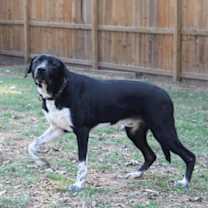 Thumbnail photo of Biggie #2