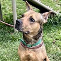 Thumbnail photo of Bella #1