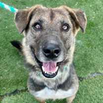 Thumbnail photo of Sasha #1