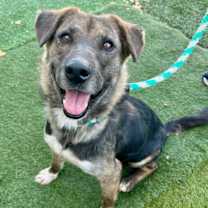 Thumbnail photo of Sasha #3