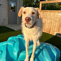 Thumbnail photo of Jeffrey #1