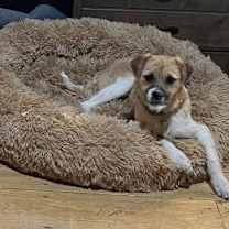 Thumbnail photo of Buffy #4