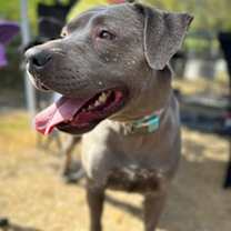 Thumbnail photo of Boone #2