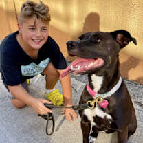 Thumbnail photo of TURTLE #3