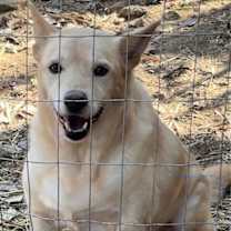 Thumbnail photo of Dakota #3