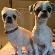 Thumbnail photo of Hazel #2