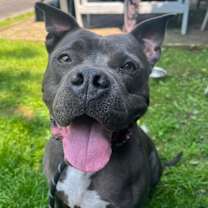 Thumbnail photo of Brady #2