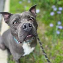 Thumbnail photo of Brady #3