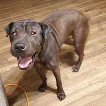 Thumbnail photo of Dutchess #1