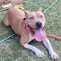 Thumbnail photo of Harper #1