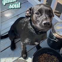 Thumbnail photo of Hope #2