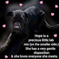 Thumbnail photo of Hope #3