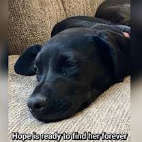 Thumbnail photo of Hope #4